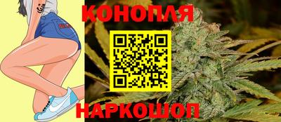 крисы Краснознаменск