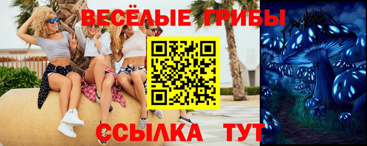 магазин продажи наркотиков  Псилоцибиновые грибы Psilocybe  Вход с VPN  Канаш 