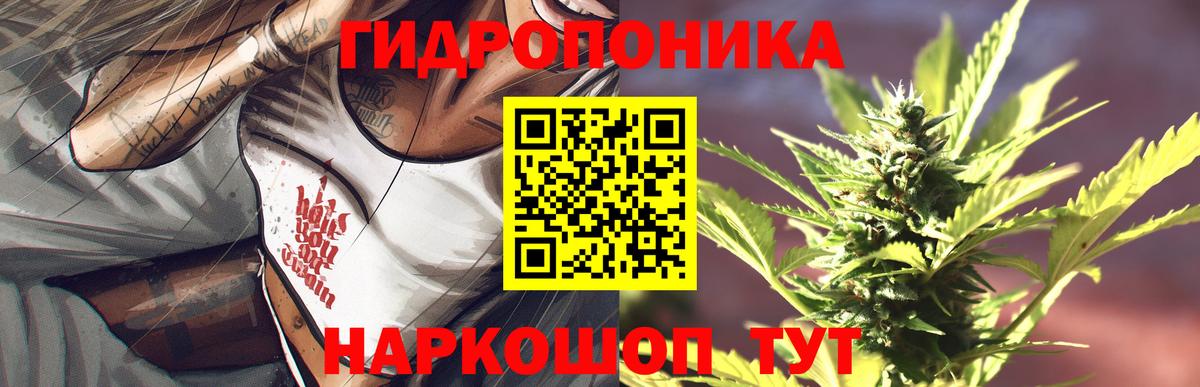 Бошки марихуана ГИДРОПОН  Вход с VPN  Марихуана сатива  Канаш 